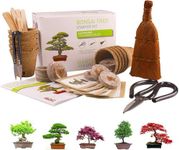 Bonsai Tree KIT - Grow Your OWN Bon