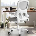 Farini Ergonomic Home Office Chair, Mesh Office Chair with Flip-Up Armrest Desk Chair Lumbar Support for Computer Desk