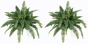 Nearly Natural 6032-S2 40” Boston Fern (Set of 2), 2 Piece, Green