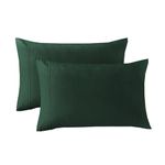 SereneSleep Queen Pillowcases 2 Pack- Bottle Green Pillow Cases 20x30 Inches Envelope Closure Ultra Soft Brushed Microfibre Wrinkle and Fade Resistant Standard Pillow Covers (Queen, Bottle Green)