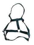 Eqous International Polypropylene Nylon Plain Horse Halter Dark Green Color