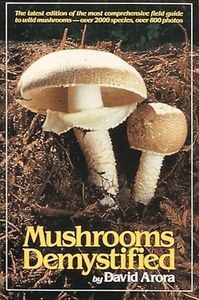 Mushrooms 