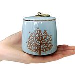 Small Cremation Urns for Human Ashes Adult Male Female - Tree of Life Blue Decorative Urns Mini Pet Urn for Dogs Cats Ashes Keepsake Memorial Box Funeral Set Burial Urns for Cremated Remains Ash Vial