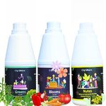 Bloom Nutrients