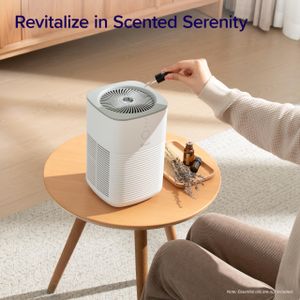 LEVOIT Dual HEPA Air Purifier – Gray