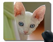 YENDOSTEEN Mouse Pad Personalized,Cat Face Eyes Green Eyes 99860 Mouse Pads