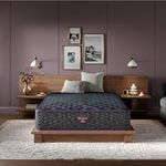 Beautyrest World Class Level Three 