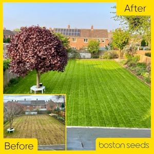 Boston Seeds Premier Grass Seed 5kg – Premium Professional Lawn Mix