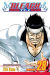 Bleach, Vol. 28 (Volume 28): Baron's Lecture Full-Course