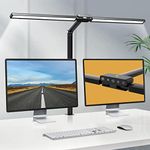 Hapfish LED Desk Lamp for Office, 2