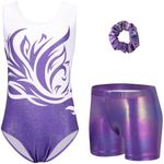 Zaclotre Gymnastics Leotards for Girls Sparkly Sleeveless Dance Unitards Biketards with Gym Shorts