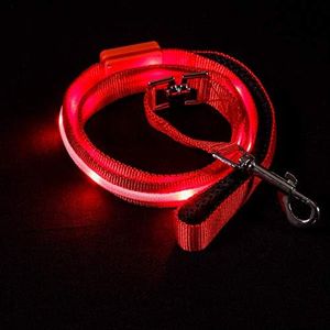 Blazin' Safety LED Dog Leash - USB Rechargeable Flashing Light, 4 Ft, Water Resistant – Lightweight (S, Red)