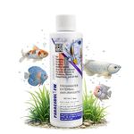 Foodie Puppies Aquatic Remedies Paracidol Freshwater Aquarium Medicine with Free Key Ring (120ml, Pack of 1)
