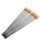 Archery Fibreglass Arrows set of 12x28"