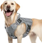 Rabbitgoo Tactical Dog Harness for 