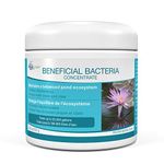 Aquascape 98948 Dry Beneficial Bacteria for Pond and Water Features, 8.8-Ounce