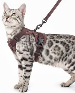 pangdi Cat Harness and Leash Set Escape Proof Tactical Extra Large Kitten Harness Emotional Support Cat Vest, Brown, XL