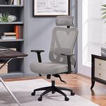 Yaheetech Ergonomic Office Chair Computer Desk Chair High Back Swivel Executive Study Work Chair with Adjustable Headrest, Lumbar Support 2D Armrests for Home Office, Light Grey