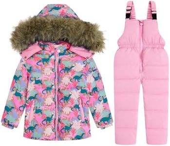 JiAmy Kids 2 Piece Snowsuit Set Girl Winter Hooded Puffer Jacket & Snow Bib Pants Boy Ski Suits Ultralight Outfit Pink Dinosaur 8-9T