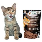 WiggleBoo Chicken & Coconut Cat Treat | Protein Rich | Fiber Rich | Crunchy Healthy Snacks (45 Grm)