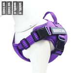 PUMDOWS Service Dog Vest - in Training Pet Vest Harness, Oxford Adjustable Reflective Dogs Vest with Adjustable Padded and Handle & 2 Pairs Patches, Easy Control for Small,Medium Breeds (Purple,S)