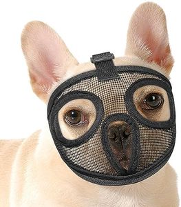 Bpawser Sh