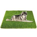 Artificial Grass, Professional Dog 