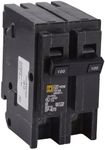 Square D by Schneider Electric HOM2100CP Homeline 100-Amp Two-Pole Circuit Breaker