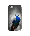 Amazon Brand - Solimo Designer Peacock 3D Printed Hard Back Case Mobile Cover for Apple iPhone 5 / 5S