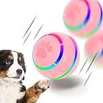 IFurffy Peppy Pet Ball for Dogs, In