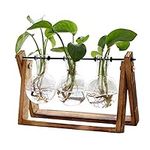 XXXFLOWER Plant Terrarium with Wood