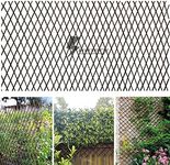 Sumery Nature Willow Trellis Expandable Plant Support Plant Climbing Lattices Trellis Willow Expandable Trellis Fence for Climbing Plants Support 36x92 Inch,Double Panel (1, Willow Wicker Fence)