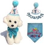 Dog Birthday Party Supplies, Reusable Girl Dog Birthday Bandana Scarf Set Cute Hat with Numbers Dog Puppy Birthday Decorations Bandana Hat Bow Set Tie for Small Medium Dog Cat Pet Toys Gifts (B)