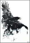GS912 Tattoo 8.2''X5.7'' Raven crow