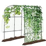 DoCred Tall Garden Arch Trellis for