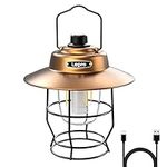 Lepro Vintage Style LED Camping Lantern, Classic Rechargeable Lantern, Portable Retro Camping Light, Tabletop Metal Hanging Tent Light with Dimmer Switch for Outdoor Indoor Emergency