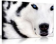 White Wolf Animal Artwork Canvas Wall Art Picture Print (36X24)