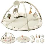 Fortella Baby Play Gym & Activity Playmat, Sensory Mat for Floor w Hanging Toys, Mirror, Support Pillow - Ideal for Newborn Tummy Time, Infant Development, Suitable for 0-3-6-9-12 Months (Sage)