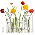 Ryoma 8PCS Test Tube Vases Decorative Glass Flower Vase Hinged Flower Vases Planter Flower Arranging Container Hydroponic Flower Holder Decor with 15PCS Hooks and 2PCS Brushes (VASES- A)