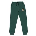 Alan Jones Clothing Boy's Cotton Solid Regular Fit Joggers Track Pant (Green , 15 -16 Years)