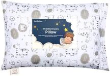 Toddler Pillow with Pillowcase - My