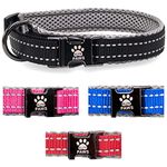 Elite Paws® UK: Premium Metal Buckle Dog Collar, Strong, Safe, Padded, Comfortable, Reflective, Adjustable, Secure Fit with Metal Lead Attachment, Puppy Walking/Training Product (30-35cm Black/Grey)