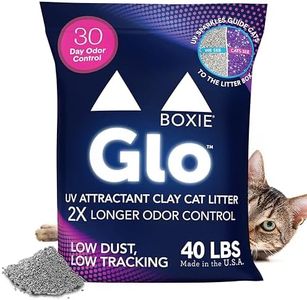 Boxie Glo 