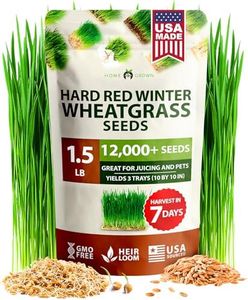 HOME GROWN Wheatgrass Seeds Bulk Pack (1.5lb) Hard Red Winter Sprouts Seeds - Reliable Heirloom Sprouting Seeds for Juicing, Growing Microgreens, Smoothies, and Indoor Gardening (Triticum aestivum)