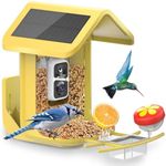 Bird Feeder with Camera Solar Power