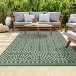 homeart Outdoor Rugs | Easy-Cleaning Indoor & Outdoor Area Rugs for Porch, Deck, Balcony, Garden, Picnic, Kitchen, Hallway | UV & Weather-Resistant Large Patio Rug Mats | Green Cream, 80 x 150 cm