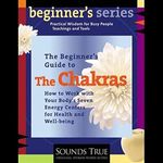 The Beginner's Guide to The Chakras