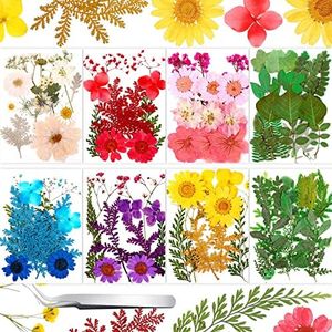 109 Pieces Real Dried Press Flowers Set, Natural Pressed Dry Flowers Leaves Mixed Multiple Dried Flowers with Tweezers for Craft DIY Candle Resin Jewelry Nail Pendant Making Supplies Blue