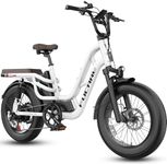 Fucare 1200W Electric Bike for Adul