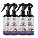 Apna Pets Potty Training Spray for Puppy | Dog Potty Training Spray, Poop Spray for Dogs & Cats Potty Training, Indoor Use, No More Marking, Positively Train Pets Where to Potty -800ML